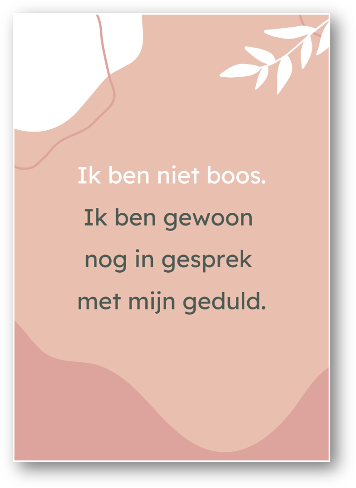 Afbeelding21